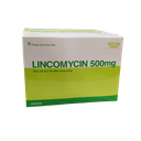 [T04415] Lincomycin 500mg Hà Tây (H/200v)