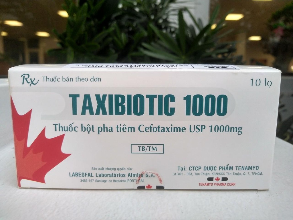 Taxibiotic Cefpodoxime 1000mg bột pha tiêm Tenamyd (H/10lọ)