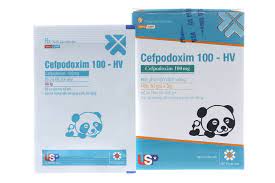 Cefpodoxim 100 HV Cefpodoxime 100mg USP (H/10gói/3g) - Con Gấu
