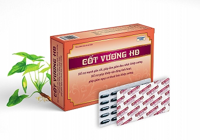 Cốt Vương Hải Dương (H/30v)