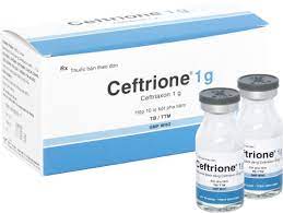 Ceftrione 1g Bình Định (H/10lọ/10ml)