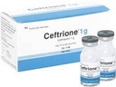 [T05110] Ceftrione 1g Bình Định (H/10lọ/10ml)