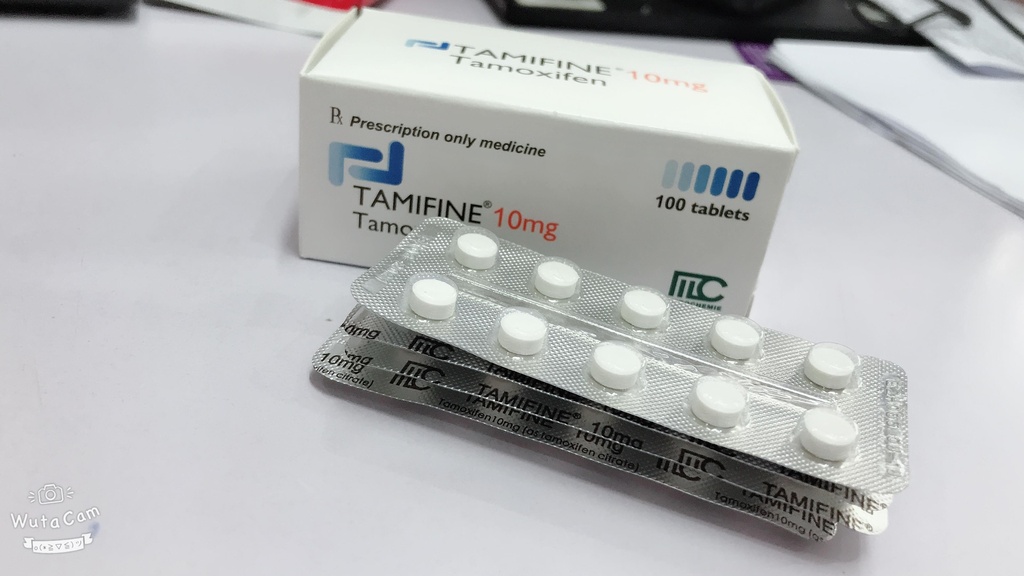Tamifine Tamoxifen10mg Cộng Hòa Síp (H/100v)