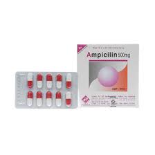 Ampicilin 500mg Vidipha (H/100v)