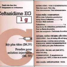 Ceftazidime EG 1g Pymepharco (Lọ/1g)