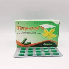 Terp-cod's terpin hydrat 100mg bao phim Vacopharm (H/300v)