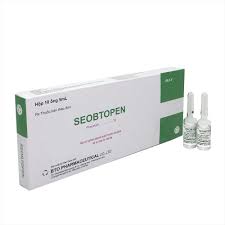 Seobtopen Piracetam 1g Pharmaceutical (H/10 ống/5ml)