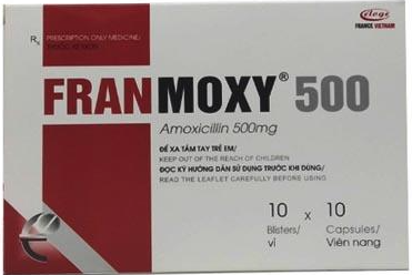 [T06549] Franmoxy 500 amoxicilin 500mg  ÉLOGE France (H/100v)
