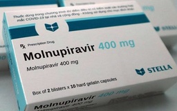 [T06596] Molnupiravir 400mg Stella (H/20v)