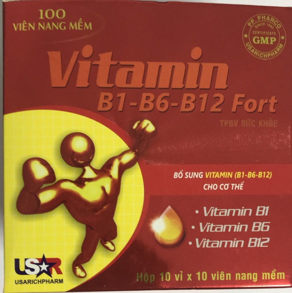 [T06619] Vitamin B1 B6 B12 Fort USARichPharm (H/100v) Date 02/2025