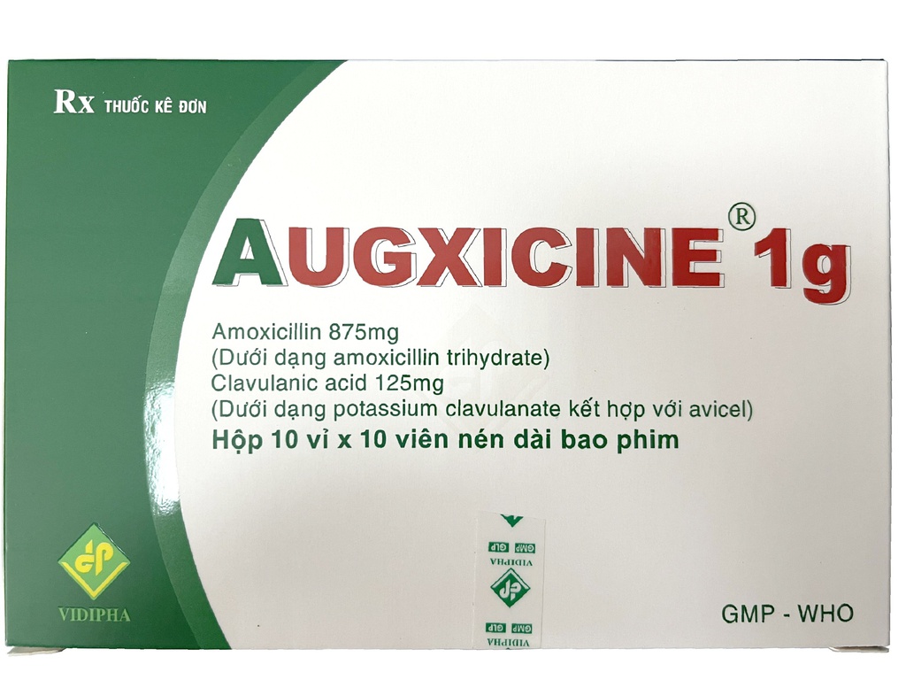 [T06890] Augxicine 1g Vidipha (H/100v)