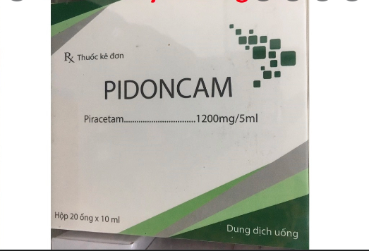[T07458] Pidoncam piracetam 1200mg/5ml Hà Nam (H/20o/10ml) 