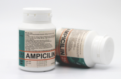[T08042] Ampicilin 250mg TW1 Pharbaco (Lọ/200v)