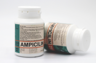 [T08042] Ampicillin 250mg TW1 Pharbaco (Lọ/200v)