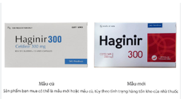 [T09688] Haginir Cefdinir 300mg DHG pharma (H/20v) 