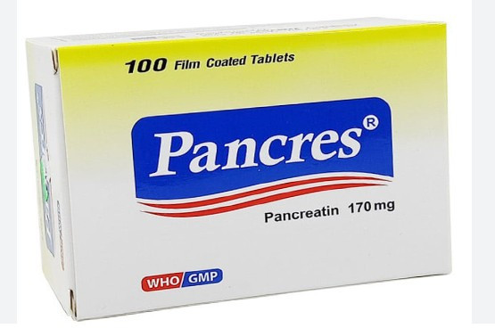 [T09715] Pancres pancreatin 170mg USA - Nic (H/100v)