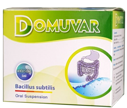 [T10622] Domuvar Bacillus Subtilis CPC1 Hà Nội (H/20ống/5ml)