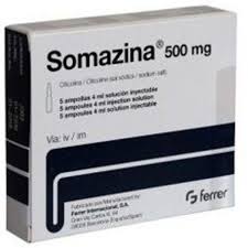 [T14230] Somazina Citicolina 500mg Ferrer (H/5o/4ml)