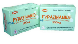 [T15112] Pyrazinamide 500mg Mekophar (H/100v)