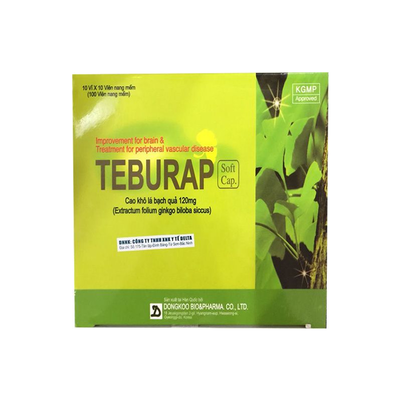 [T00023] Teburap Ginkgo biloba 120mg Hàn Quốc (H/100v) date 05/2026