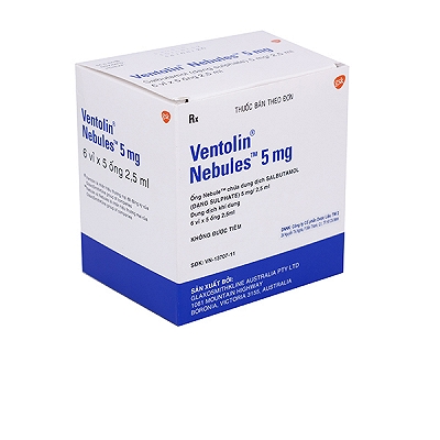 [T00168] Ventolin Nebules Salbutamol 5mg/2.5ml GSK (H/6v/5o) Date 09/2025