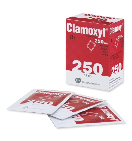[T00221] Clamoxyl Amoxicilin 250mg GSK (H/12gói) date 05/2027