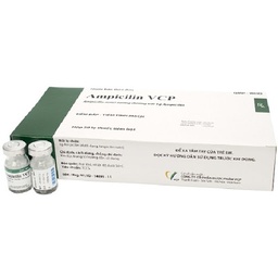 [T00376] Ampicillin 1g  tiêm VCP (H/50 lọ)