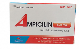 [T00729] Ampicilin 500mg Thanh Hoá (H/100v)