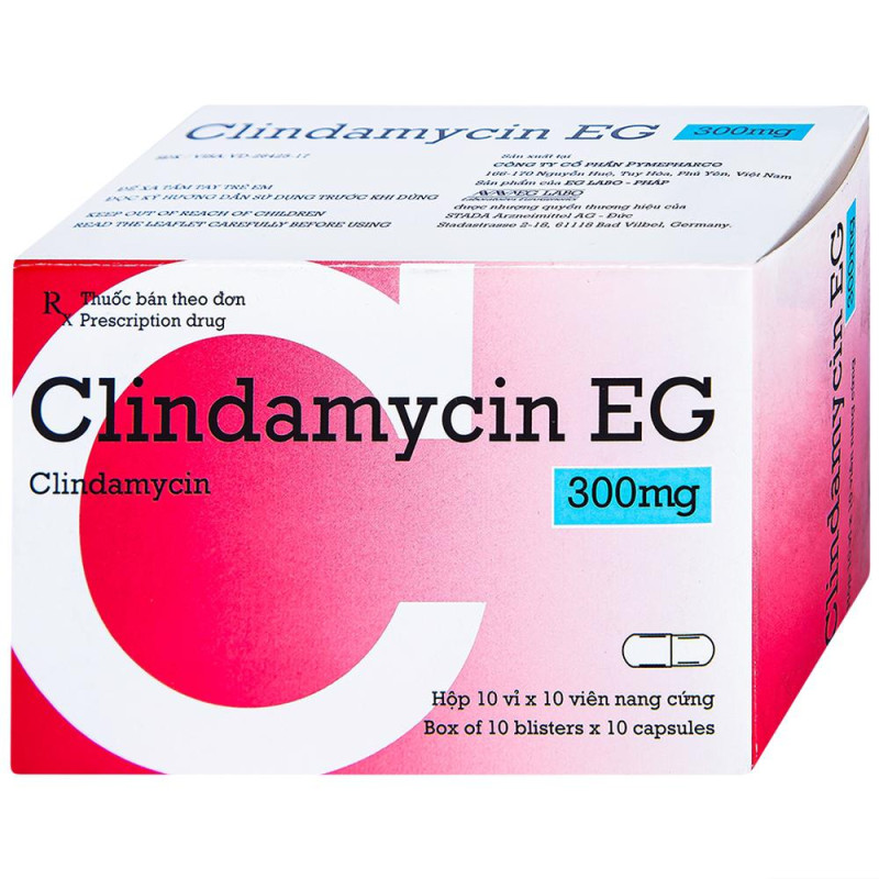 [T01172] Clindamycin EG 300mg Pymepharco (H/100v)