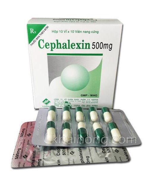 [T01276] Cephalexin 500mg Vidipha (H/100v)