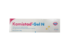 [T01351] Kamistad Gel N Stada (Tuýp/10g) date 01/2026