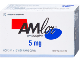 [T01368] Amlor 5mg viên nang Pháp (H/30v) date 01/2026