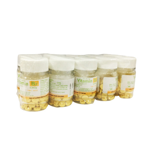 [T02533]  Vitamin B2 Hà Nội (Cọc/10lọ/100v) Date 05/2027