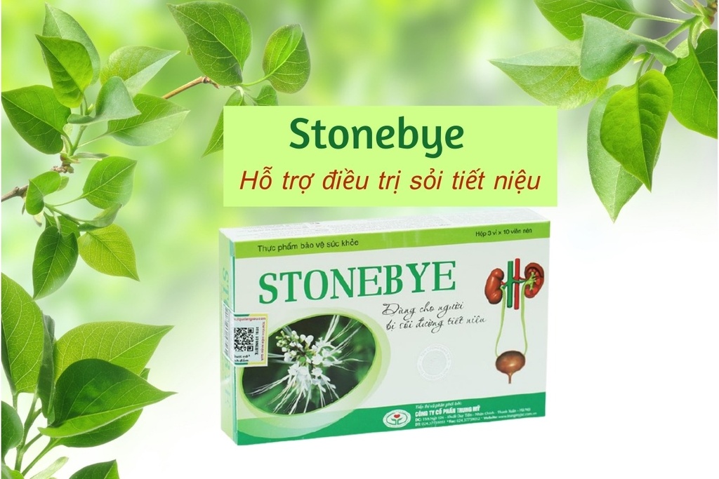 [T02895] Stonebye Hồng Bàng (H/30v)