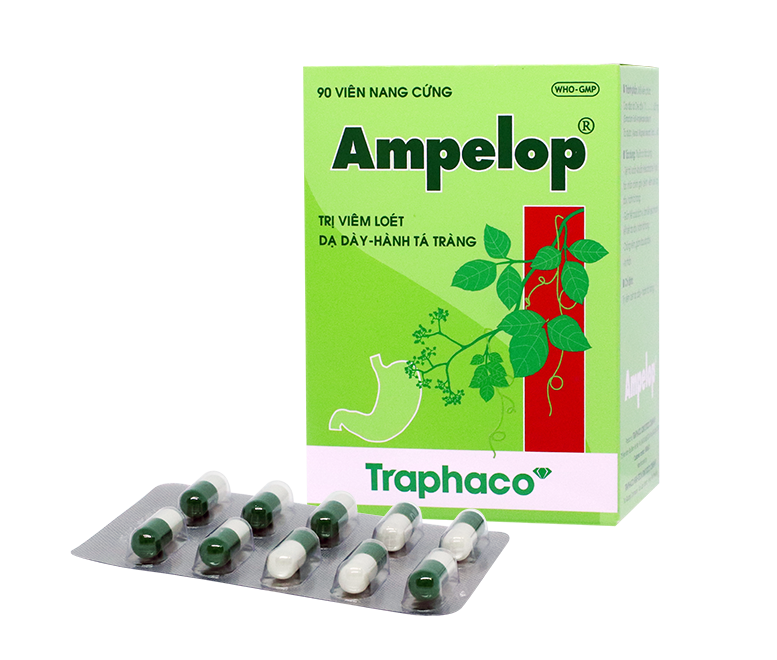 [T03138]  Ampelop trị viêm loét dạ dày Traphaco (H/90v)