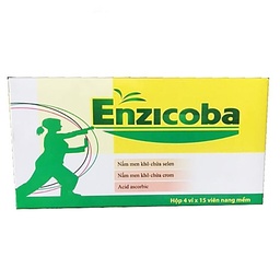 [T03590] Enzicoba CPC1 Hà Nội (H/60v) date 01/2026