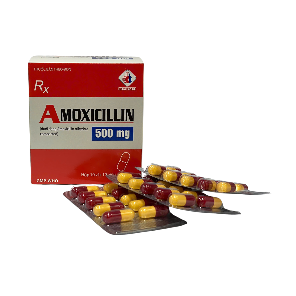 [T03722] Amoxicillin 500mg Đồng Tháp (H/100v) 