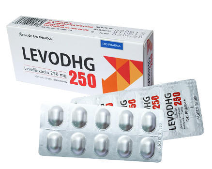 [T04053] LevoDHG Levofloxacin 250mg DHG Hậu Giang (H/30v)