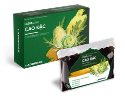 [T04247] Cao đặc Actiso Lâm Đồng (Túi/100g)