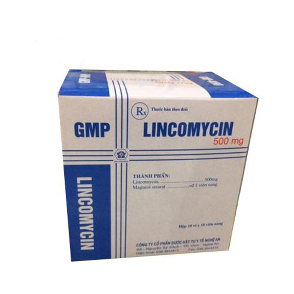 [T04413] Lincomycin 500mg Nghệ An (H/100v)