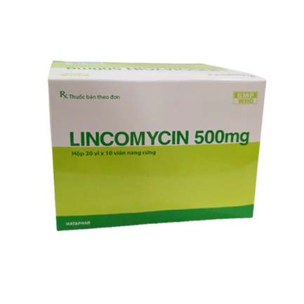 [T04415] Lincomycin 500mg Hà Tây (H/200v)