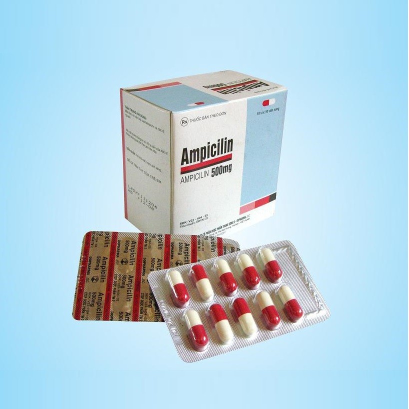 [T04430] Ampicillin 500mg  TW2 Dopharma (H/100v)