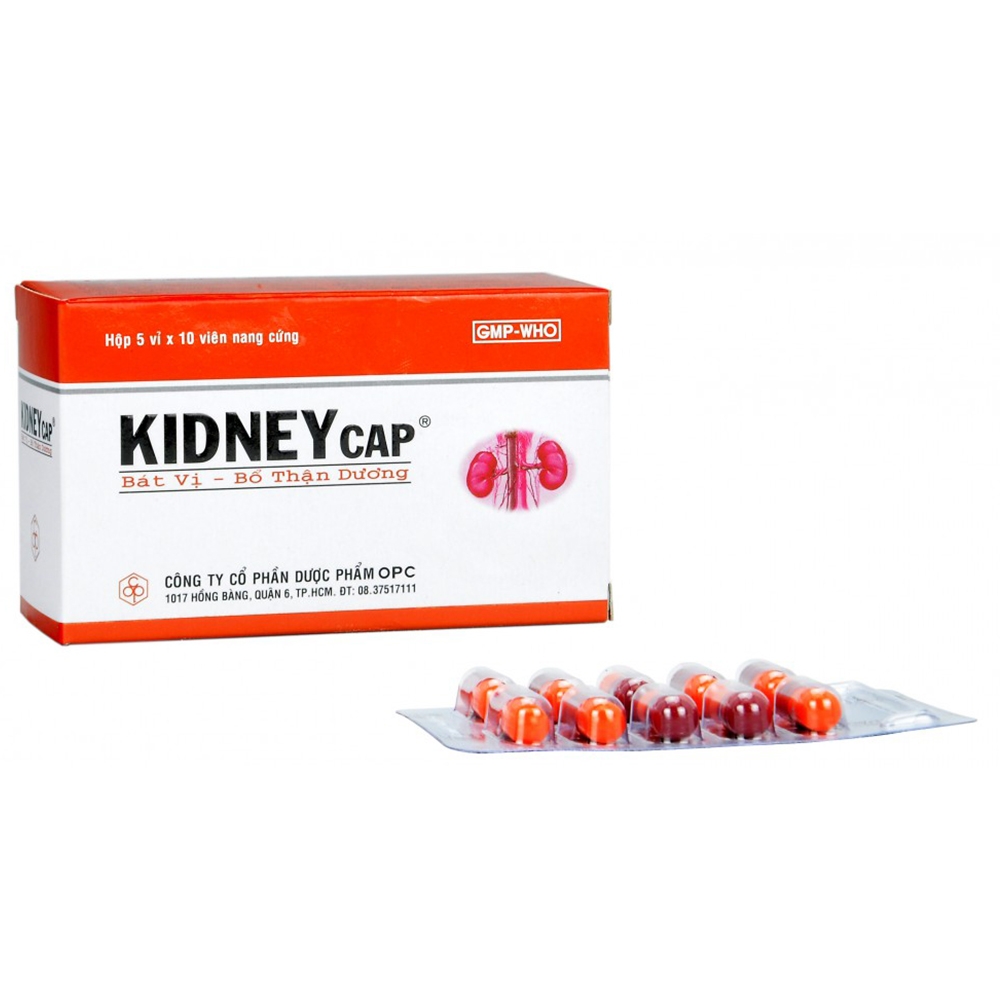 [T05011] Kidney Cap Bát Vị Bổ Thận Dương OPC (H/50v)