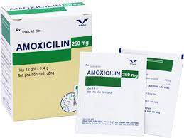 [T05051] Amoxicillin 250mg Bình Định (H/12gói/1.4g)