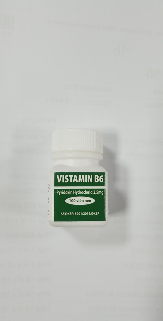 [T05382] Vistamin B6 Vitamin B6 Đại Uy (Cọc/10Lọ/100v)